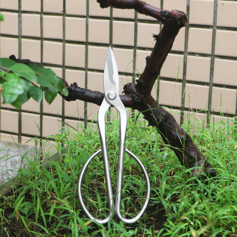 Bonsai Tool Set - Цельнометаллические садовые ножницы, листи, ростки, ножницы