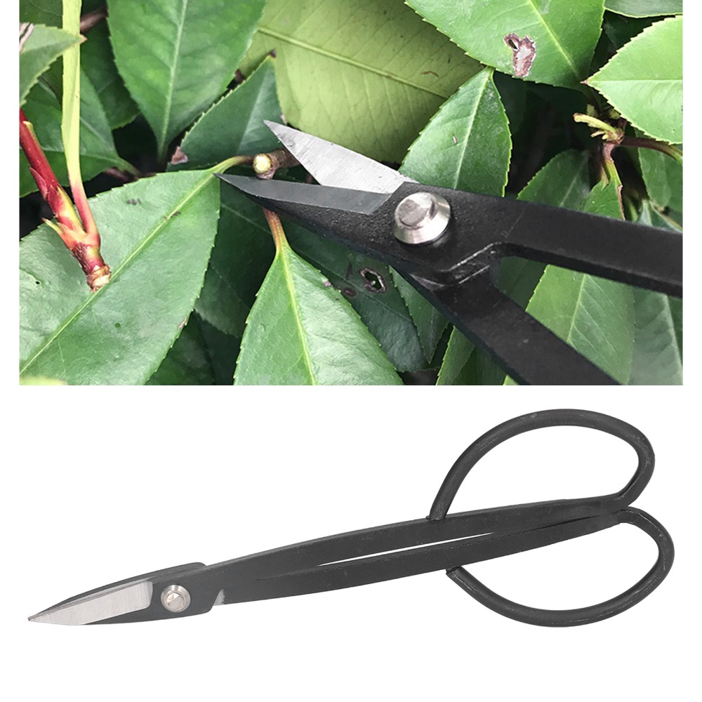 Ножницы для бонсай из нержавею – обзор и цена Bonsai Tool Set
