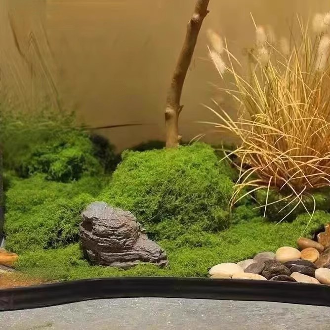 200 г. Искусственный мох «Вечн – обзор и цена Landscape Bonsai Garden