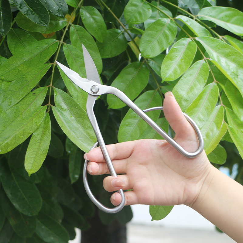 Цельнометаллические садовые но – обзор и цена Bonsai Tool Set