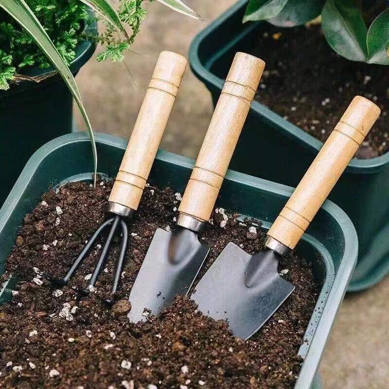 3 шт./1 компл. мини-набор садо – обзор и цена Soil Scoop Tool