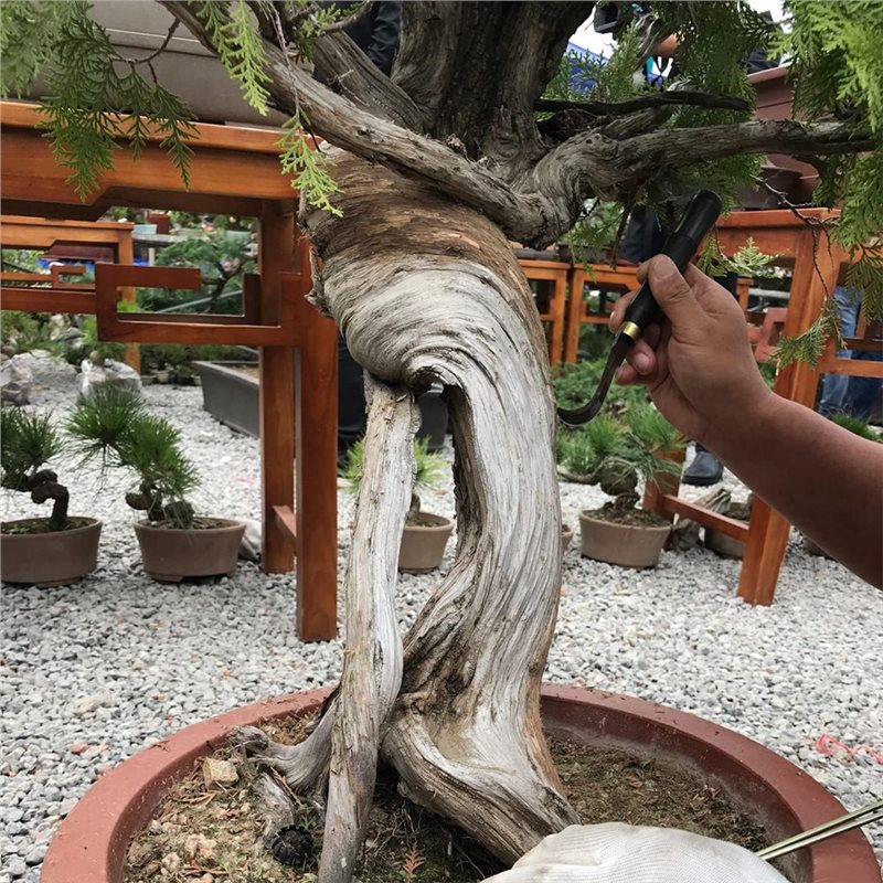 Набор инструментов для резьбы  – обзор и цена Bonsai Tool Set