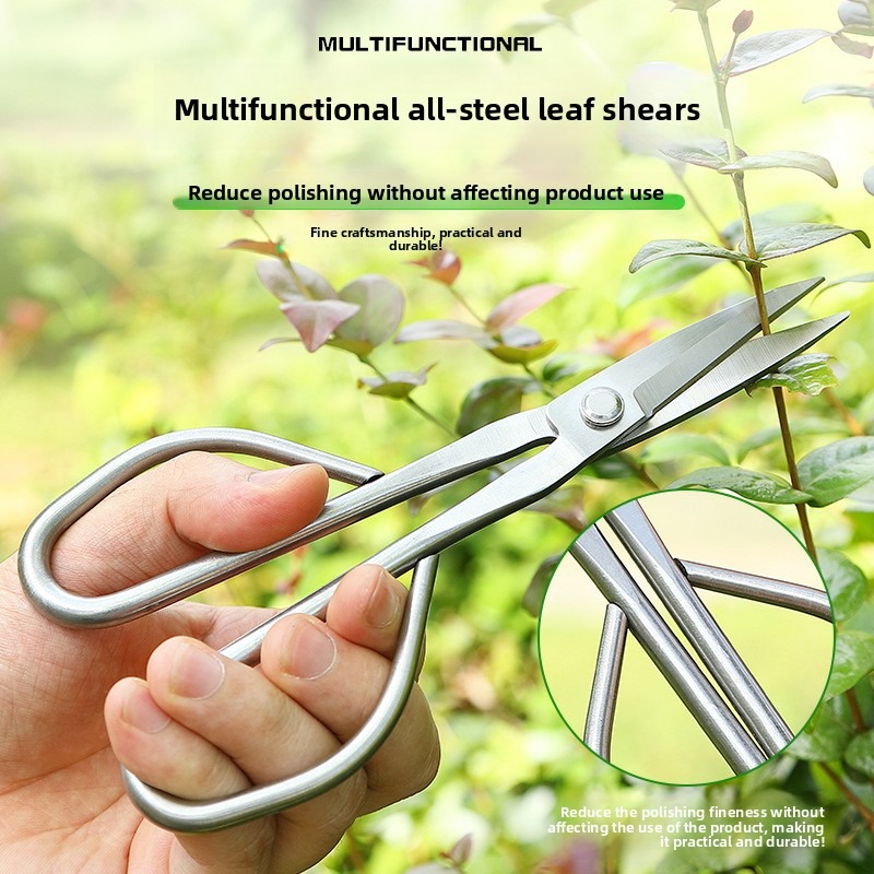 Ножницы для нежных листьев, ин – обзор и цена Bonsai Tool Set