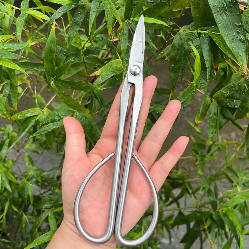 Ножницы для нежных листьев, ин – обзор и цена Bonsai Tool Set