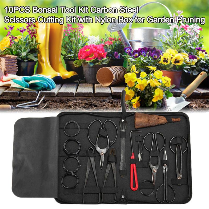 Набор инструментов бонсай из у – обзор и цена Bonsai Tool Set