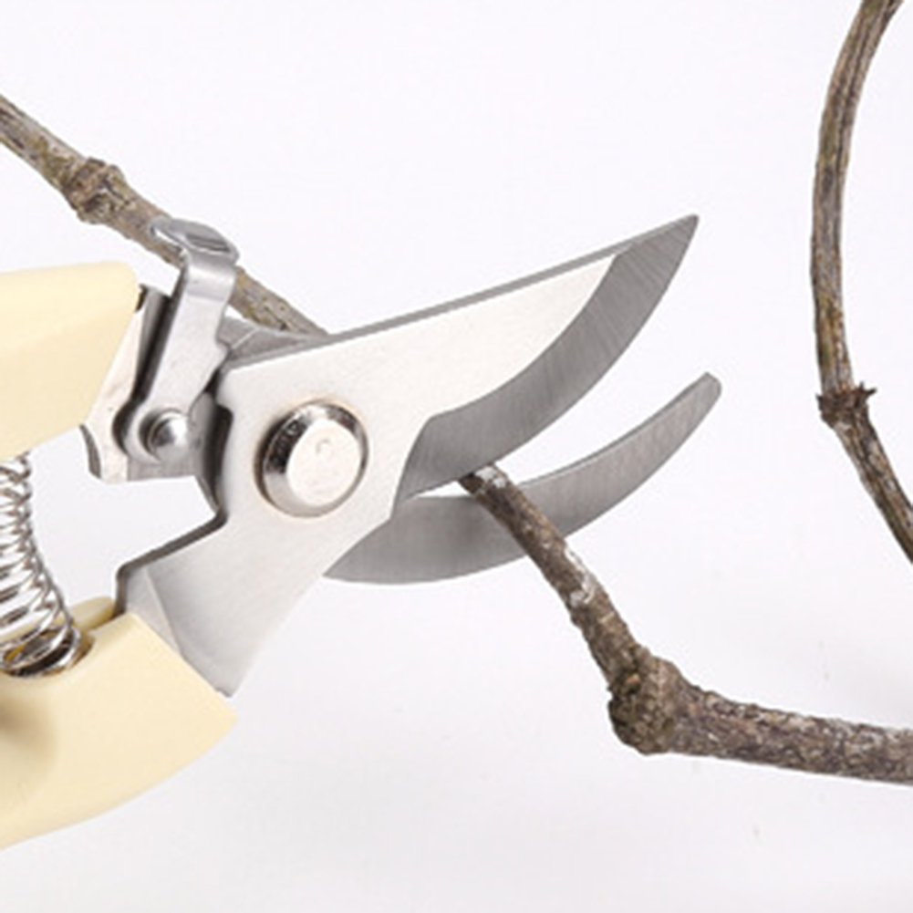 Секатор, ручные инструменты, б – обзор и цена Bonsai Tool Set