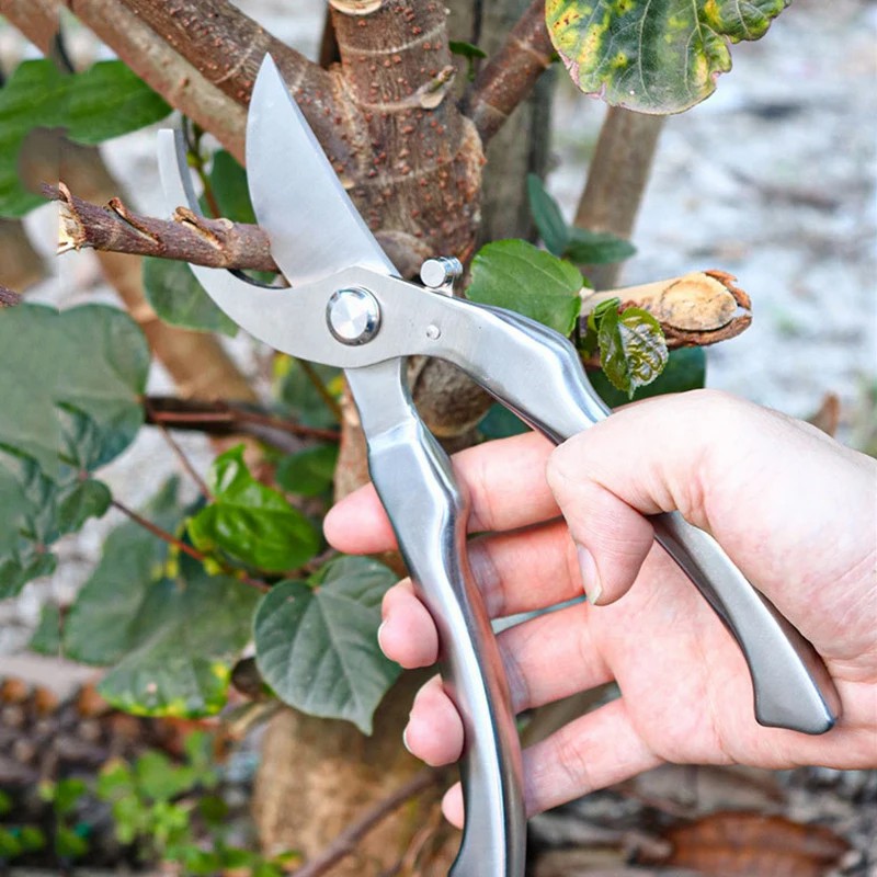 Профессиональные садовые секат – обзор и цена Bonsai Tool Set