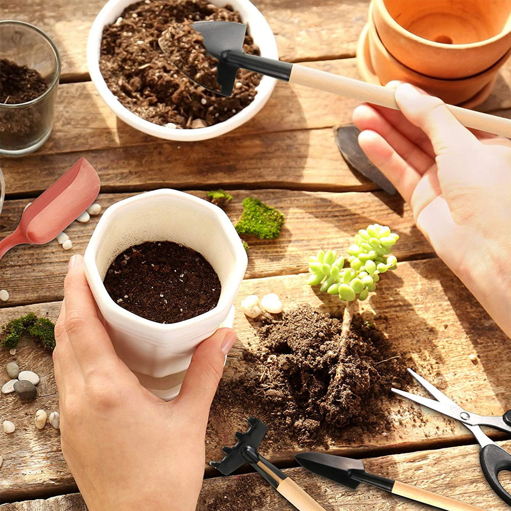 Инструменты для суккулентов, м – обзор и цена Bonsai Tool Set